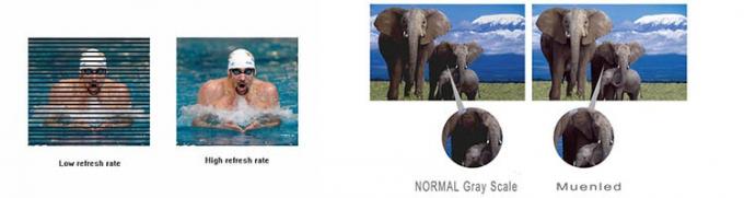 pantalla de visualización llevada flexible 7